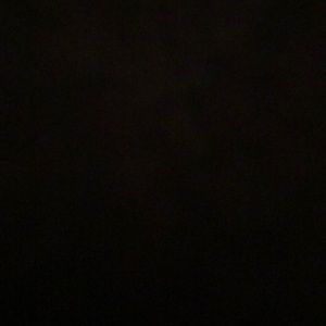 Meet your Posher, Rodriquez